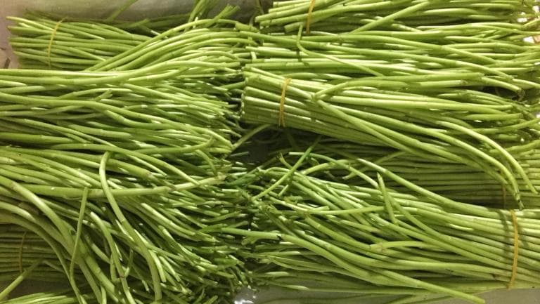 藜蒿的功效与作用、禁忌和食用方法