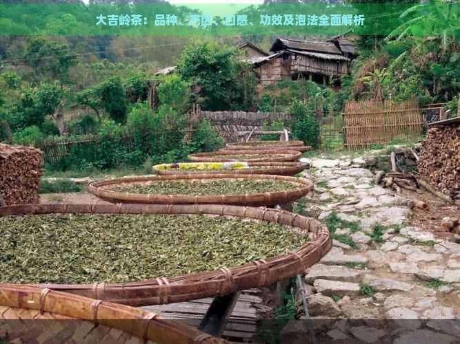 大吉岭茶：品种、产区、口感、功效及泡法全面解析