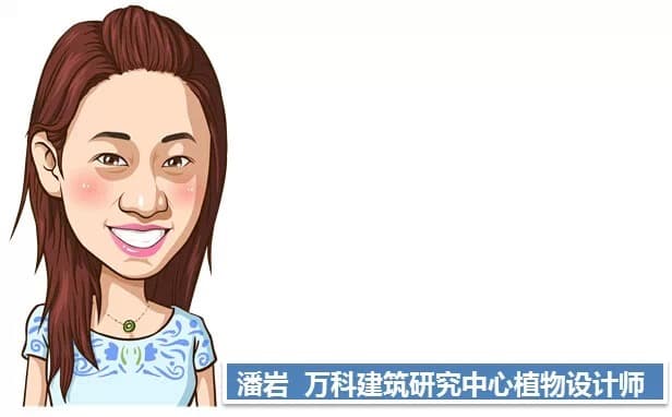 垂直绿化：绿色空间的竖向延伸