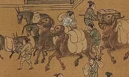 南宋与金国的军事对抗分析