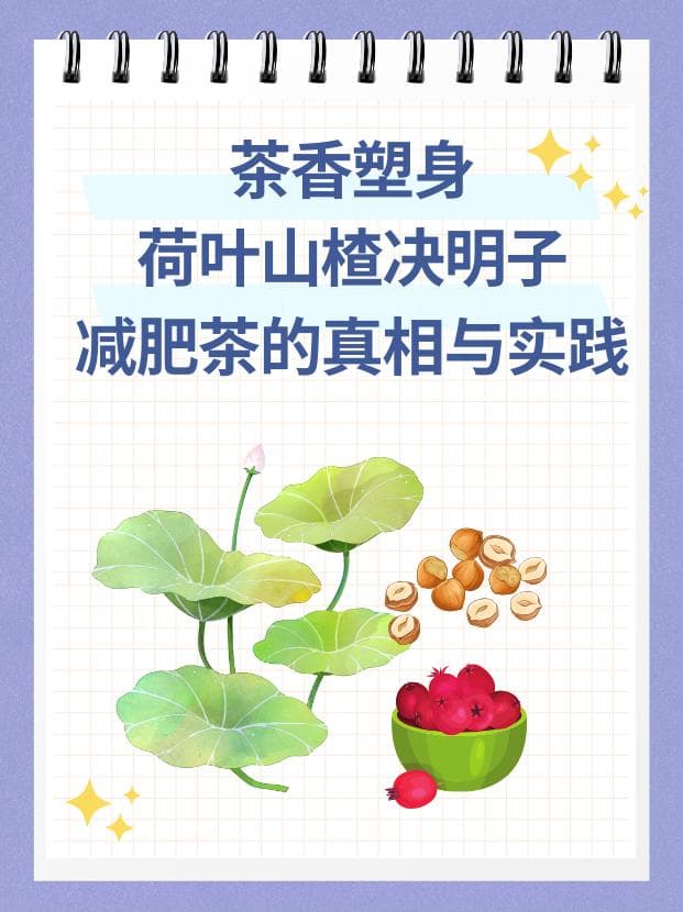 茶香塑身：荷叶山楂决明子减肥茶的真相与实践