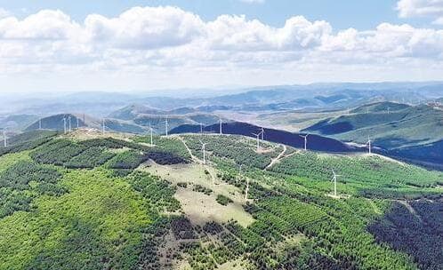“再造三个塞罕坝林场”项目建成数百万亩林海