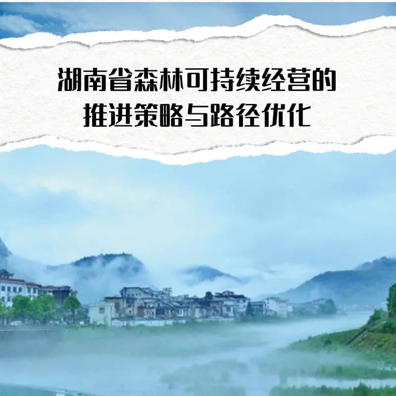 湖南省森林可持续经营的推进策略与路径优化