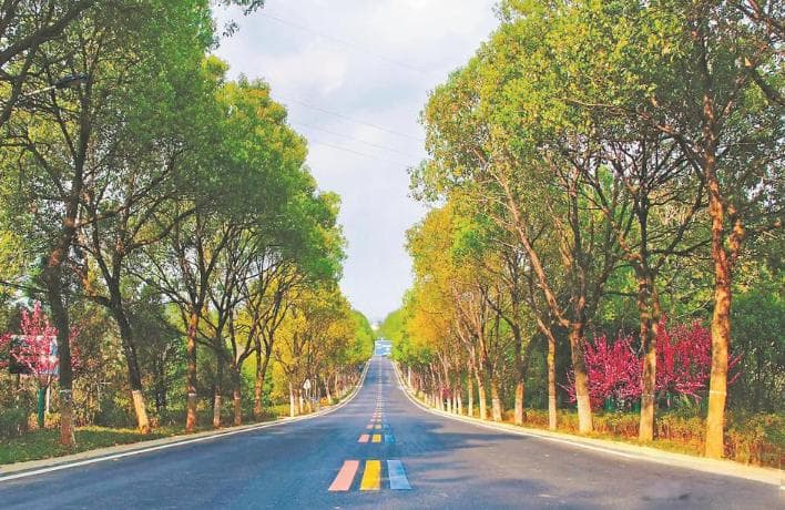 福建：最美的风景在路上