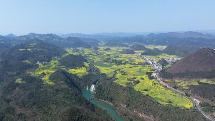 深度报道：云南罗平：朵朵油菜花撬动百亿“花经济”