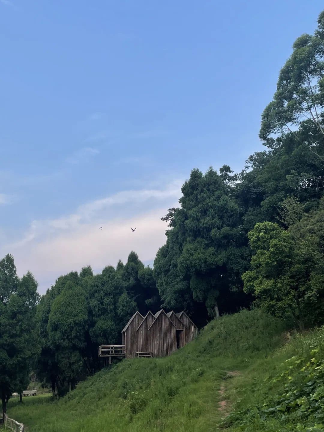 龙泉驿区遍地老馆子，这些美食让人回味无穷