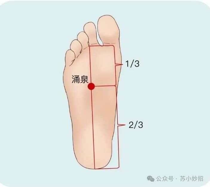【手麻脚麻按摩攻略】5分钟缓解僵硬!保姆级手法