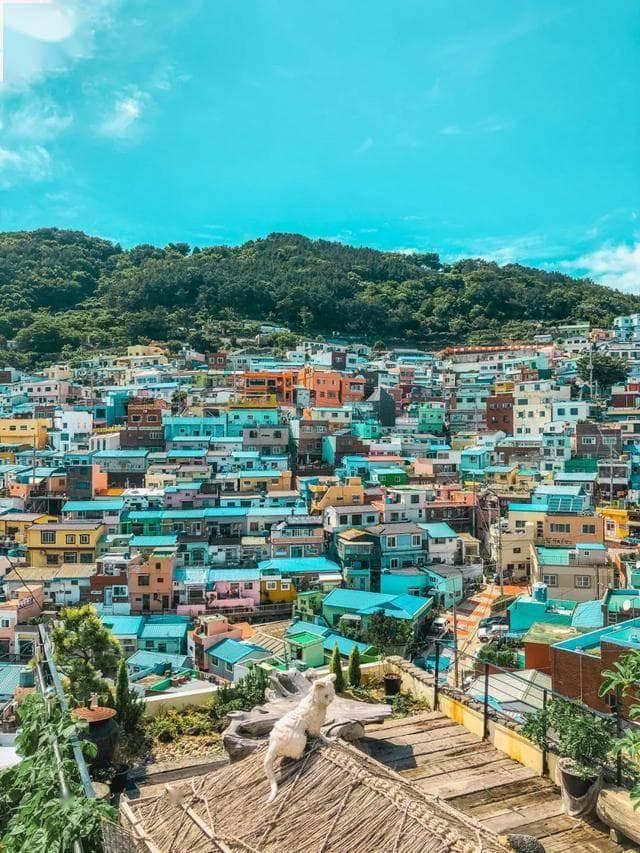 目的地丨探索釜山：海滨城市的8种绝妙体验