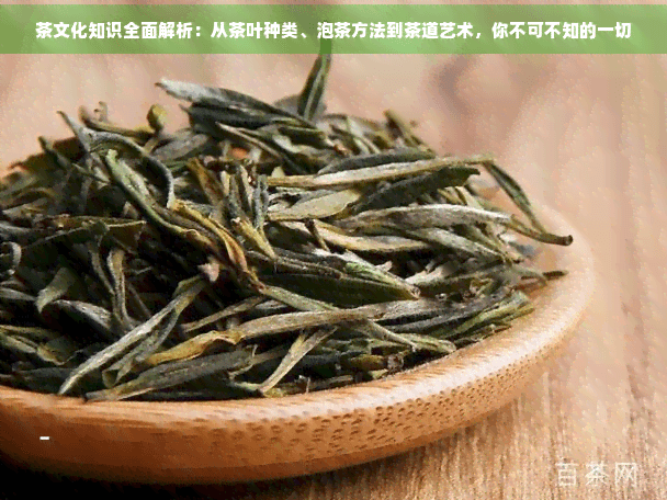 茶文化知识全面解析：从茶叶种类、泡茶方法到茶道艺术，你不可不知的一切