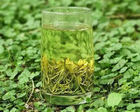 蒙顶甘露：绿茶中的贵族，凭什么与众不同？
