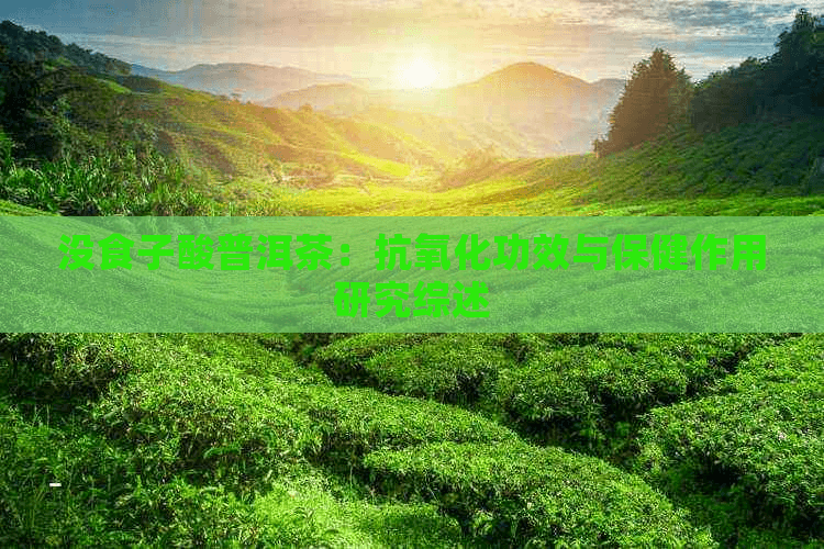 没食子酸普洱茶：抗氧化功效与保健作用研究综述