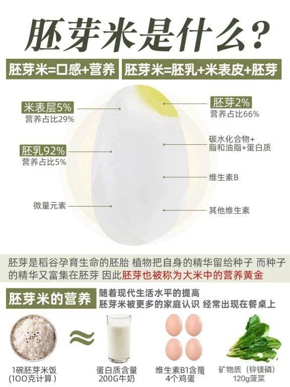 胚芽米：介于精白米和糙米之间的营养新选择