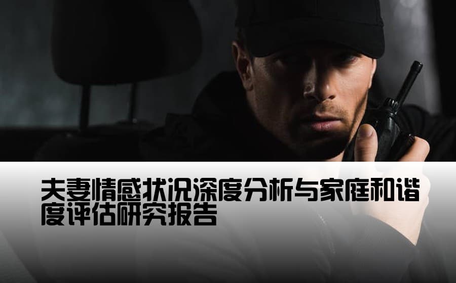 婚姻关系调查：夫妻情感状况深度分析与家庭和谐度评估研究报告