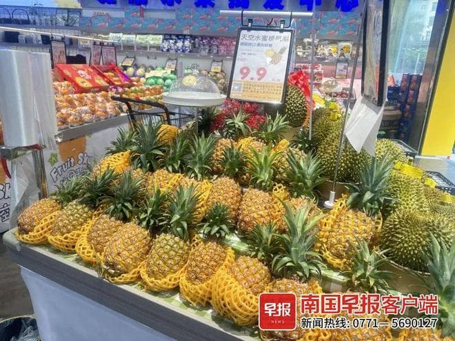 价格差几倍！凤梨和菠萝是同一种水果吗？