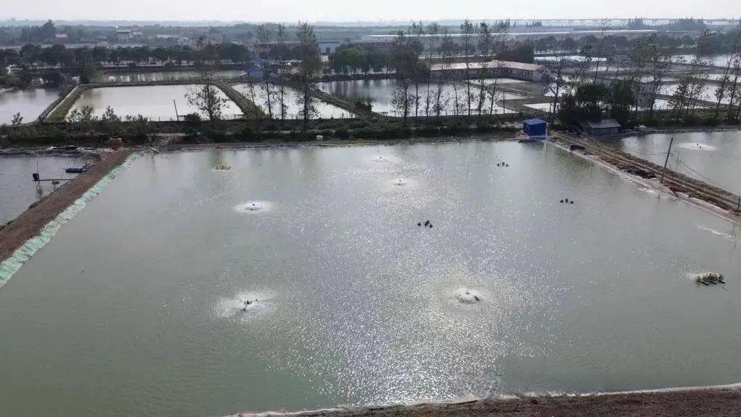 水产养殖过程中如何科学选择增氧机