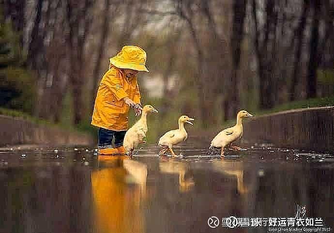 《坛经》的见性成佛