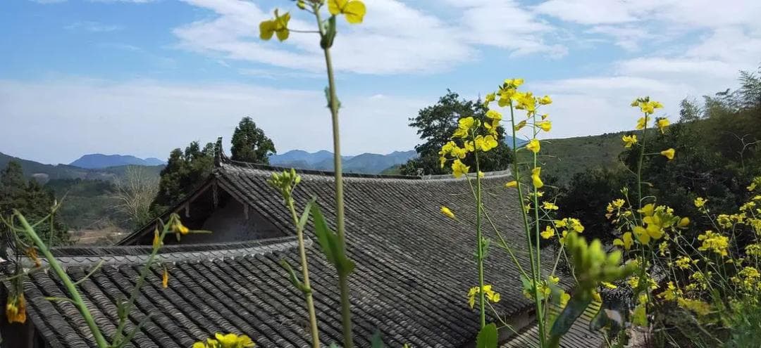 咏物、象征、涉物抒情：现代诗歌的三种借物达意法