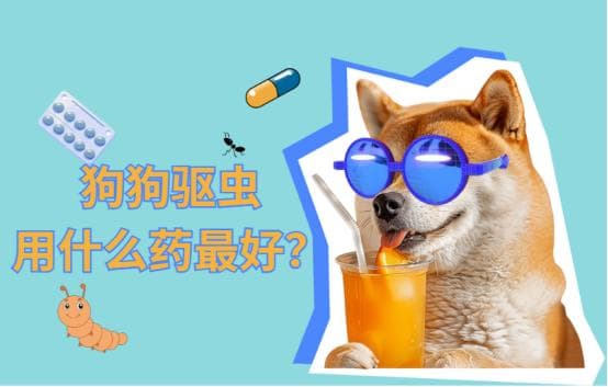 狗狗驱虫用什么药最好？新手铲屎官怎么选？