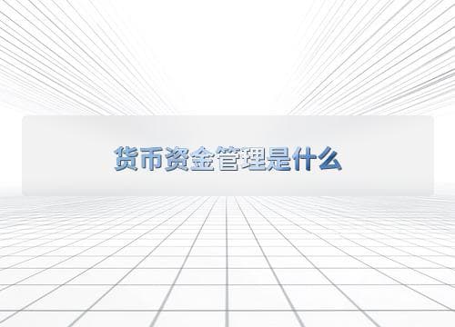 货币资金管理是什么
