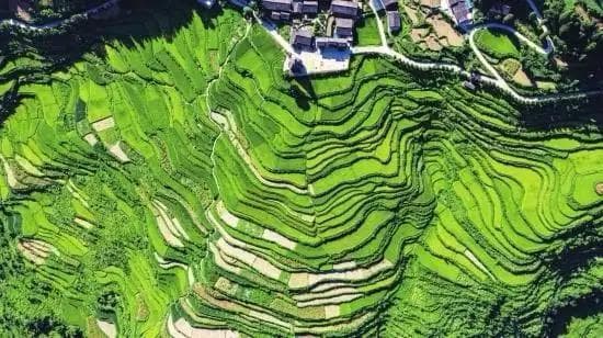 有一种信心叫万亿湖南｜农产品加工业：从田间到餐桌的绿色变革
