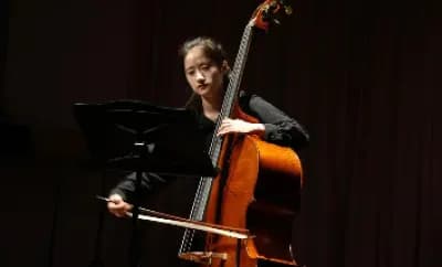 什么是低音提琴？