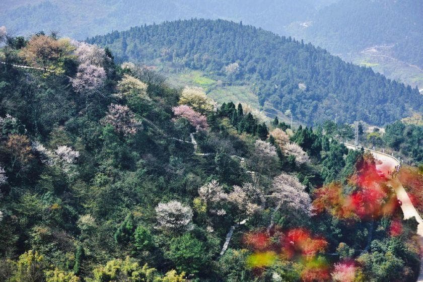 重庆渝北大盛云龟山樱花观赏攻略（地址、路线）