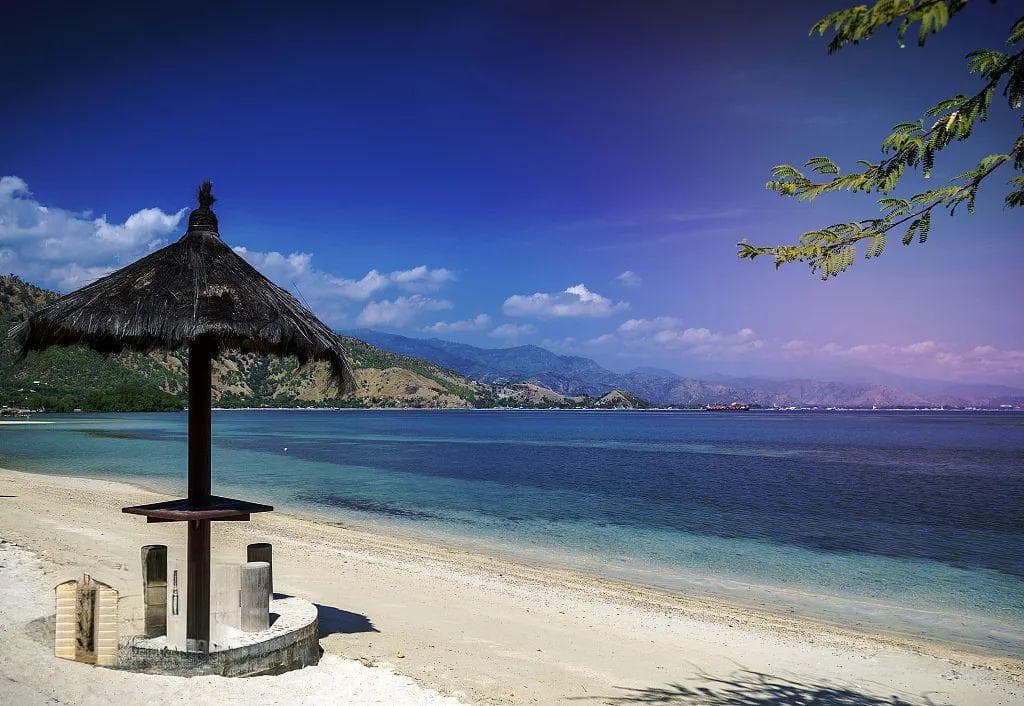 冷门落地签岛国，玻璃海看鲸豚迁徙，珊瑚礁媲美大堡礁，潜水寻觅飞机残骸