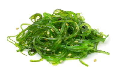 海藻糖：天然补水剂，维护肠道健康