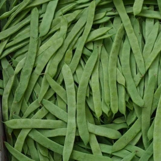 豆类果荚期如何施肥？要预防哪些病虫害？