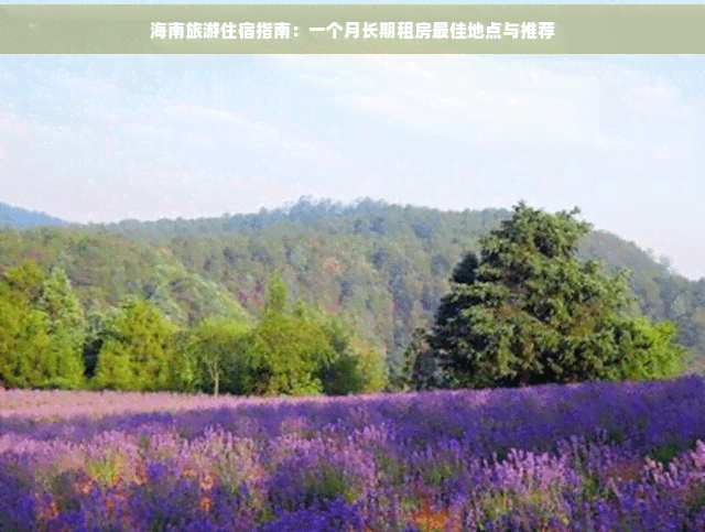 海南旅游住宿指南：一个月长期租房更佳地点与推荐