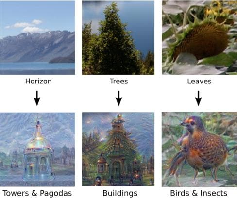DeepDream：从原理到实践的完整指南