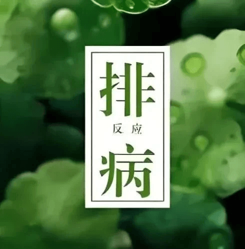 越婢汤和越婢加术汤治疗肾炎浮肿