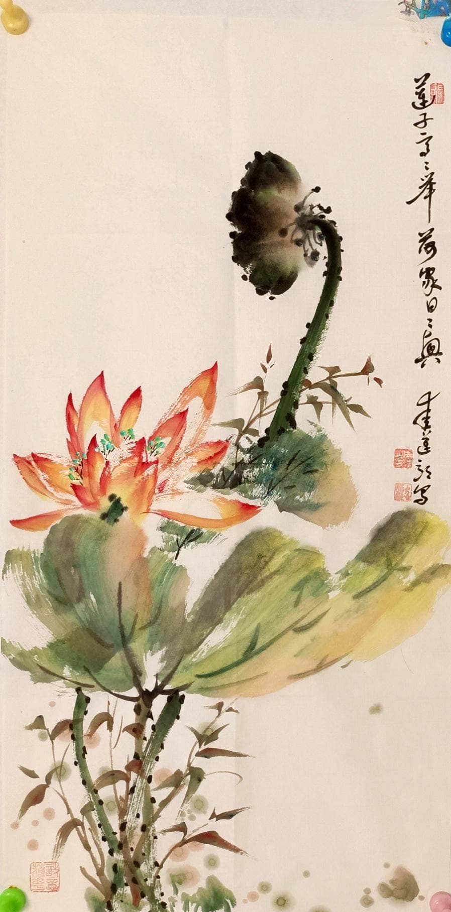 荷花诗词：绽放的诗意与画意