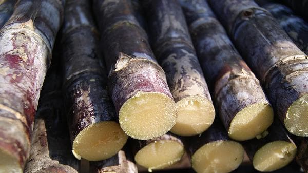 甘蔗砍下来能保存多久？这些保存方法请收好