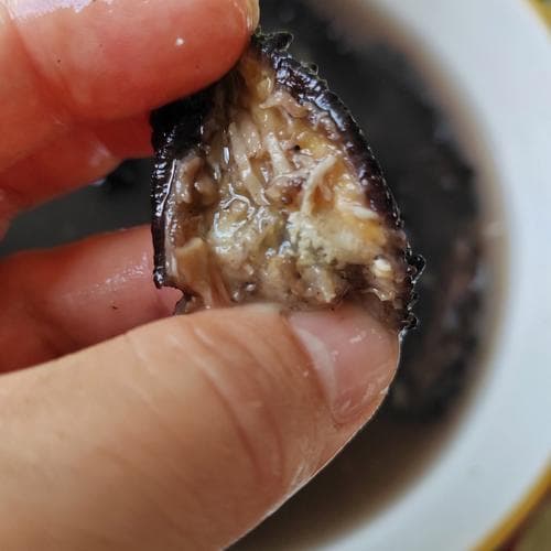 海参里边有寄生虫吗了（海参身上的寄生虫图）