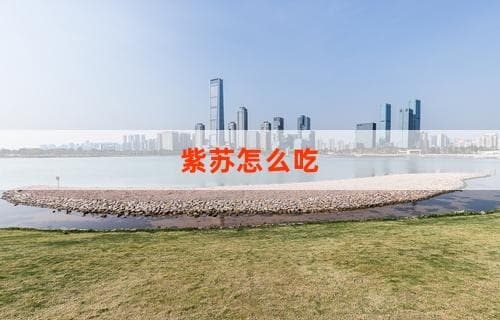紫苏怎么吃：多种做法带你了解紫苏的食用方式