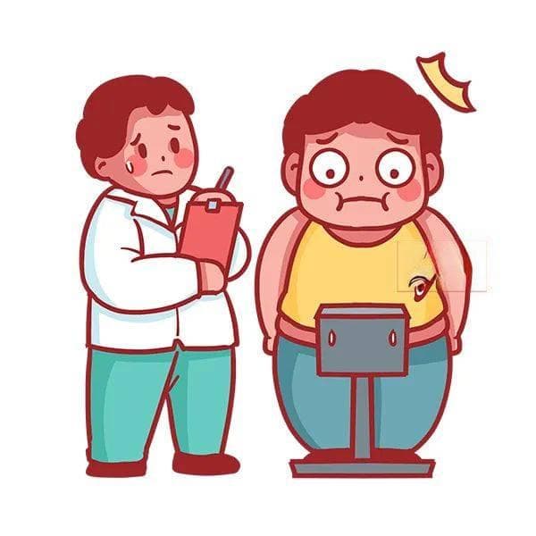 一起学习，做掌管体重的神！