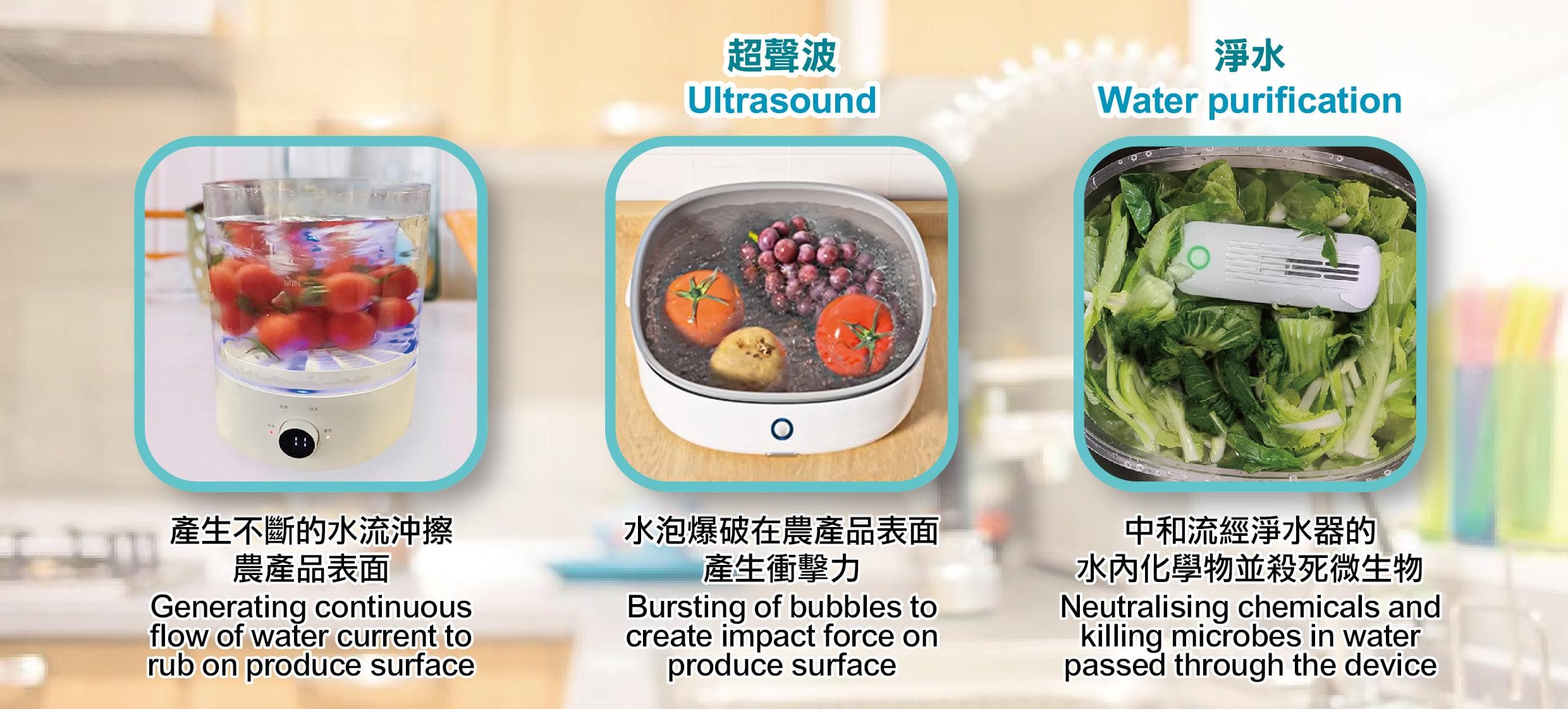 蔬菜清洗机和农产品清洁剂－维持食物安全的较佳选择？
