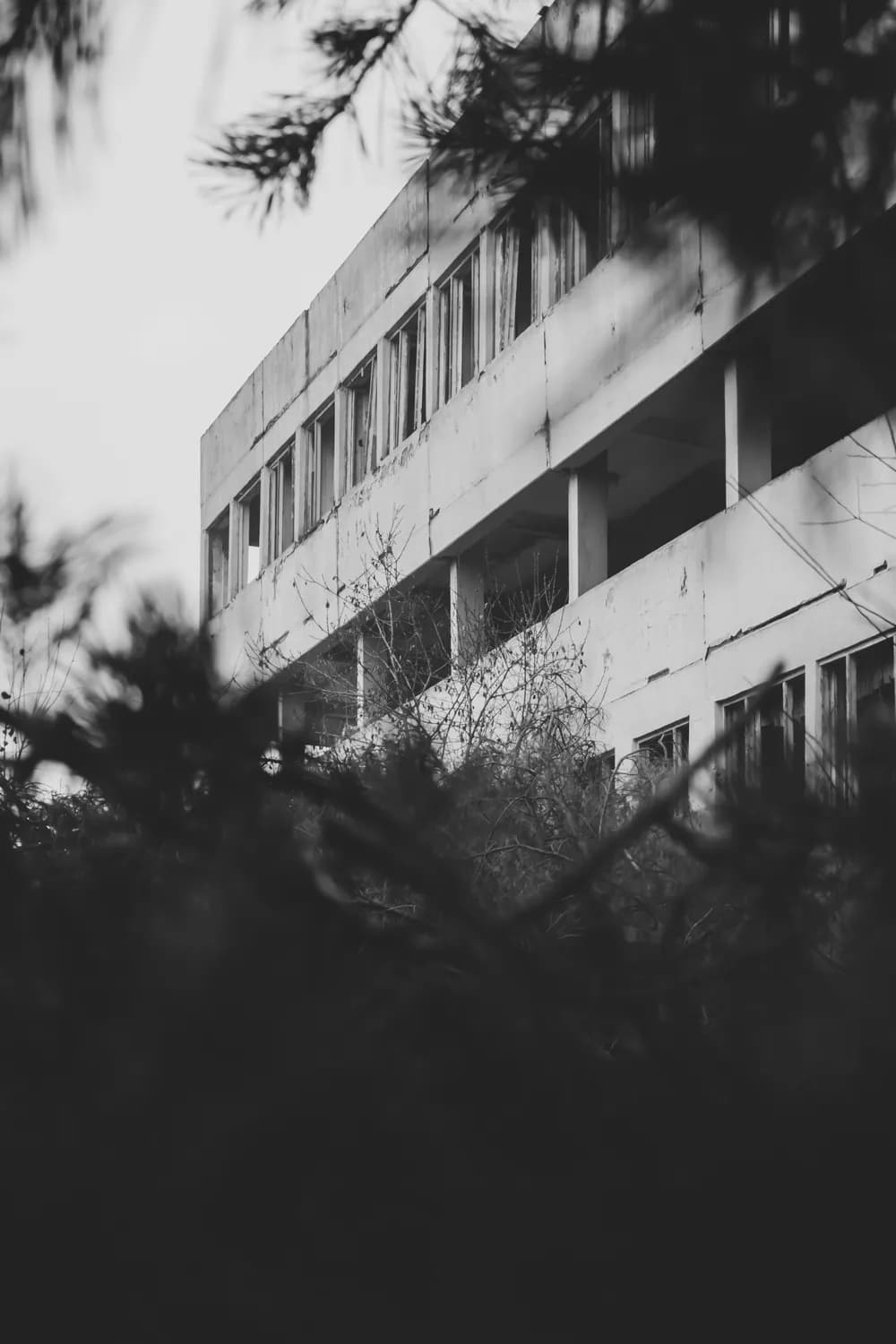废弃精神病院：恐怖小说氛围营造秘籍