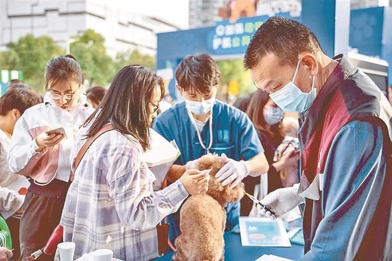 猫狗“它经济”，防疫无小事
