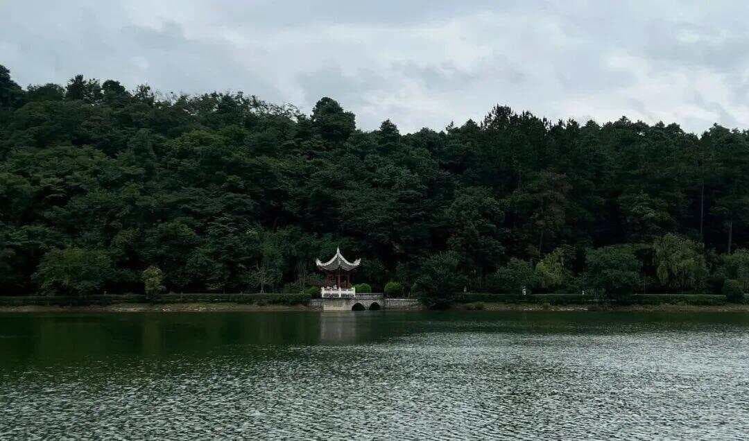 《思考，快与慢》带给我18条心得