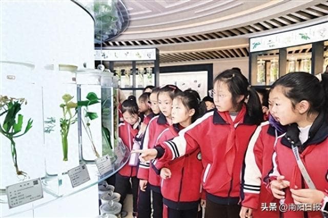 南阳：把中医药文化种进学生心田