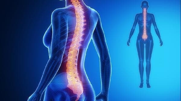 练背引体向上就够了？全面解析背部训练的多样化动作
