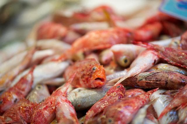 228国道四日自驾：海岛风光、海鲜美食与渔家乐
