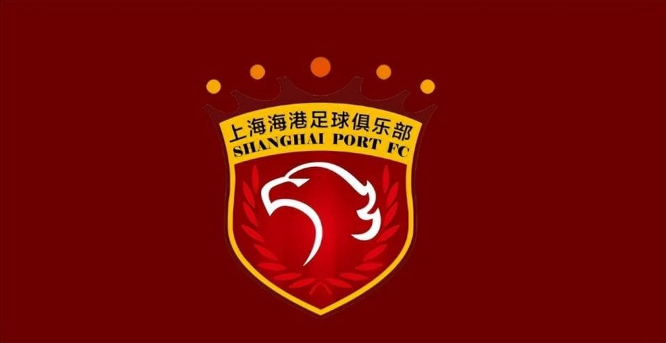伊万名单引发大争议 ，上海海港一众国脚惨遭冷落 ，5大悍将沦为国足看客