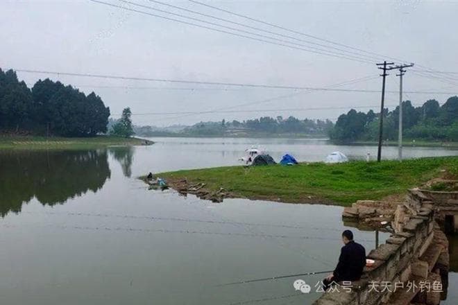 春季野钓大鲤鱼，4个特殊招数，学会了能狂拉