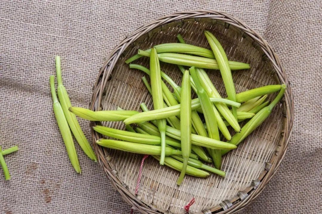 黄花菜含秋水仙碱可致中毒，专家教你安全食用法