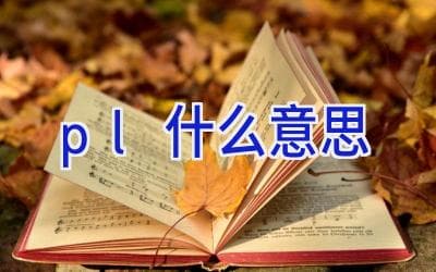 "pl"是什么意思？网络用语详解