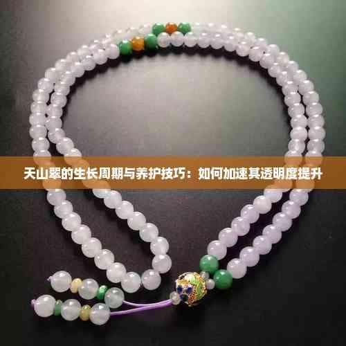 天山翠的生长周期与养护技巧：如何加速其透明度提升