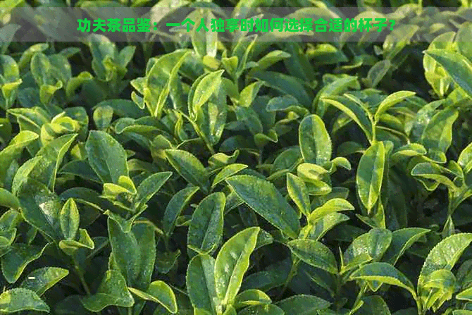功夫茶品鉴：一个人独享时如何选择合适的杯子？